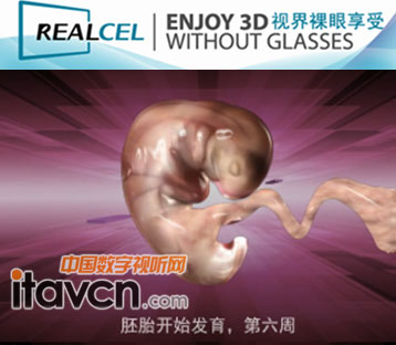 3DӋ